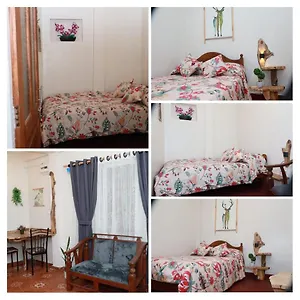 https://green-heart-homestay.kandyhotelsnow.com